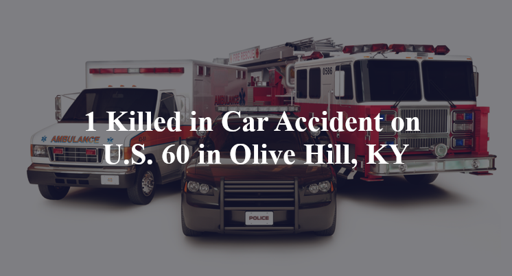 car accident olive hill ky us 60