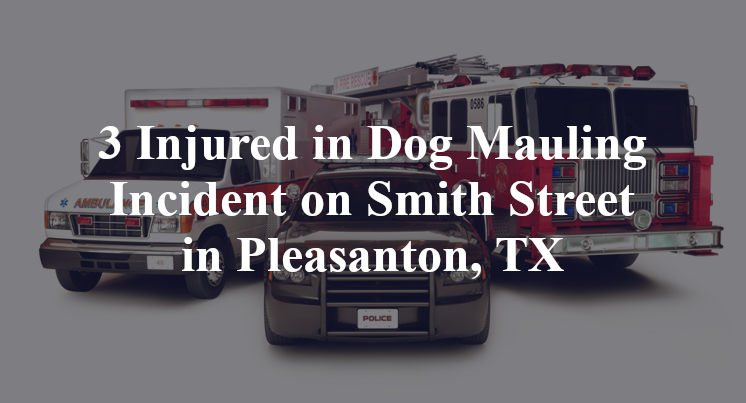 Dog Mauling on Smith Street in Pleasanton, TX