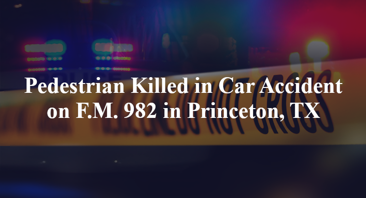 Pedestrian Killed in Car Accident on F.M. 982 in Princeton, TX