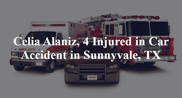Celia Alaniz, 4 Injured in Car Accident in Sunnyvale, TX